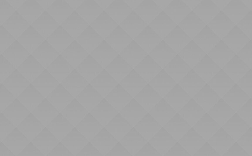 grey_06 School Buses